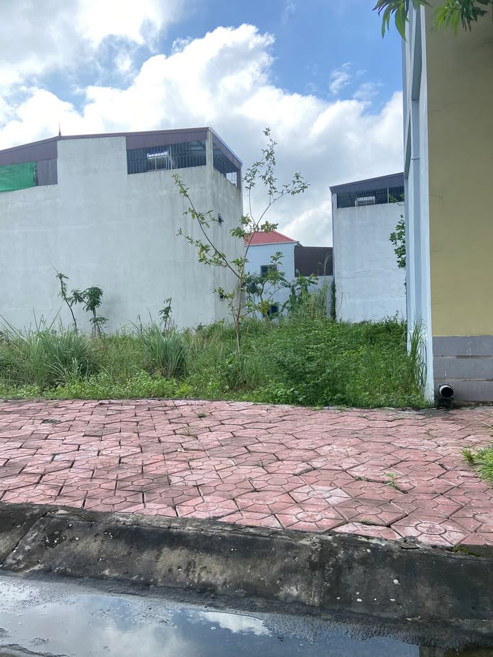 Đất Đấu Giá Hưng Đông, Vinh 176m² giá 6.9 tỷ - Cơ hội đầu tư lý tưởng!