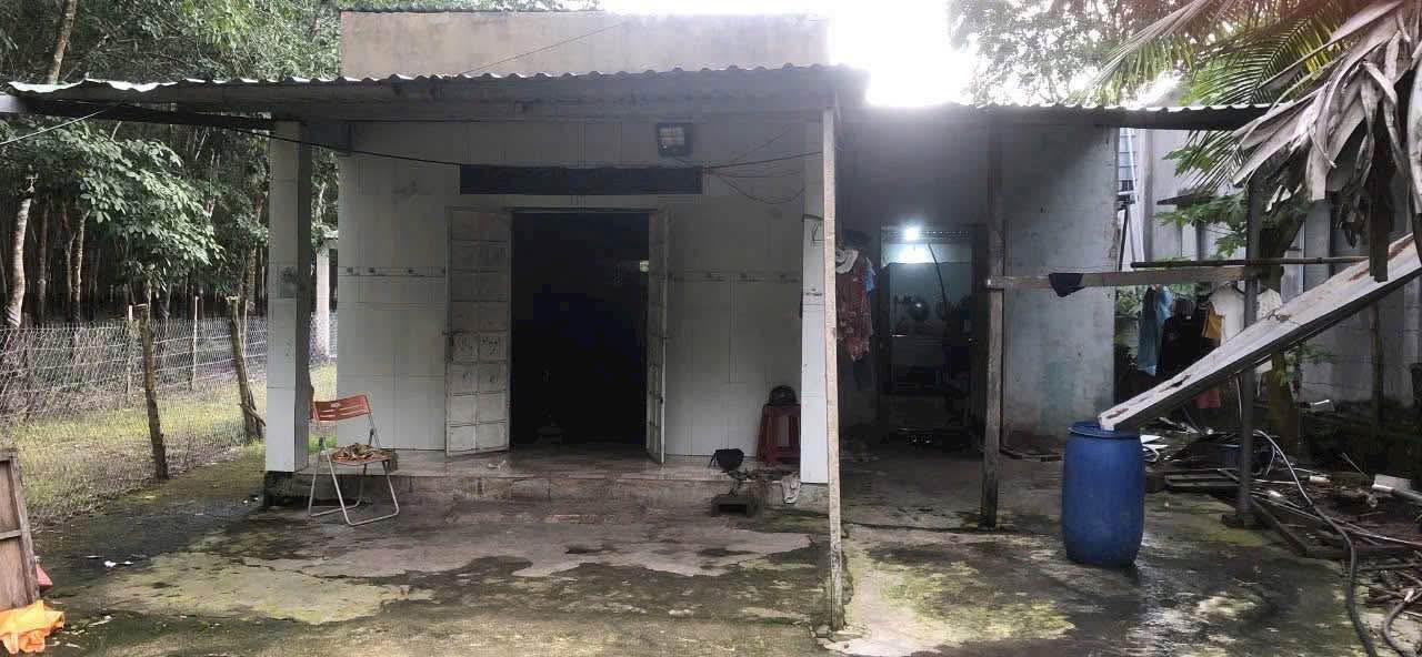 Đất Lộc Thịnh, Lộc Ninh 1000m² giá 300 triệu - Sổ đỏ chính chủ sẵn sàng giao dịch!