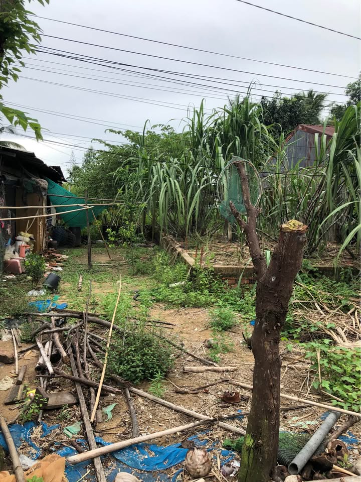 Đất nền thổ cư 168m² tại ấp Hòa Phước, Kiên Giang - Giá chỉ 600 triệu VND, thương lượng ngay!