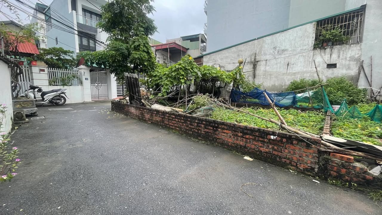 Đất lô góc Phúc Lợi Long Biên 50m² giá 7 tỷ - Hướng nào cũng nở hậu!