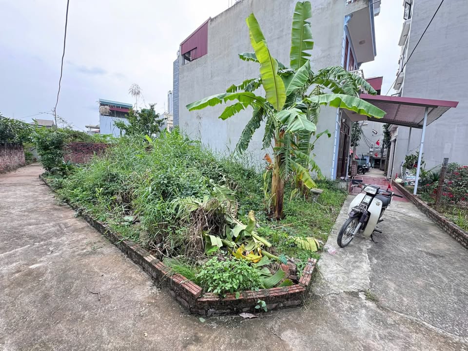 Lô đất góc Phúc Lợi 45m² giá 5.25 tỷ - Đầu tư lý tưởng!