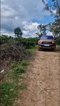 Farm 1,65 ha tại Ea Sin, Krông Búk giá 2,2 tỷ - Cơ hội đầu tư tuyệt vời!