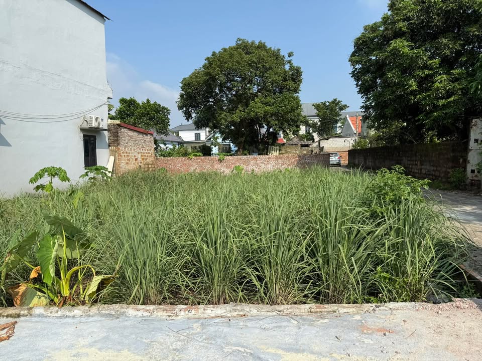 Đất nền Phú Cát Quốc Oai 180m² giá 20 tỷ - Mặt tiền 17m, vị trí đắc địa!