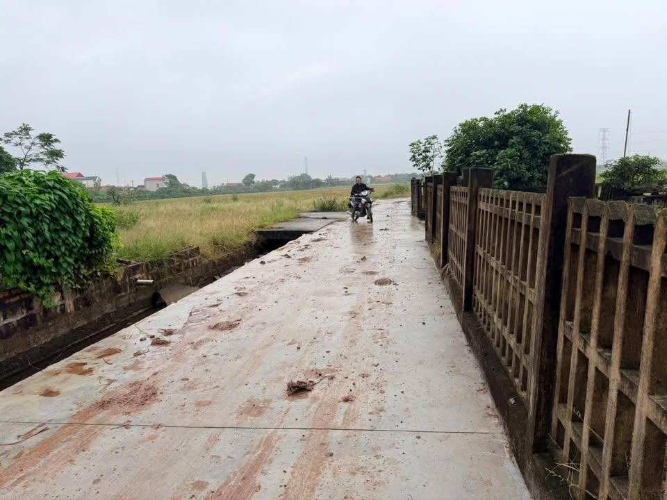 Đất thổ cư Nghĩa Lạc, Nghĩa Hưng, Nam Định 126m² giá 550 triệu - Sổ đỏ chính chủ, sang tên ngay!