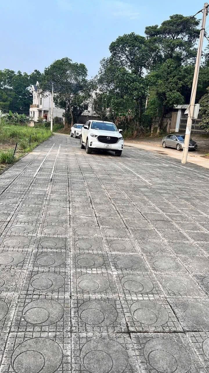 Đất nền Tân Lập Cẩm Khê 100m² - Sổ đỏ chính chủ, giá chỉ 1 tỷ!