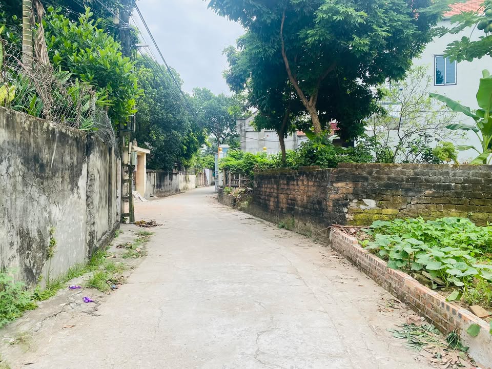 Đất nền lô góc 55m² tại Phúc Lộc, Phúc Thọ - Giá chỉ 1 tỷ VND!