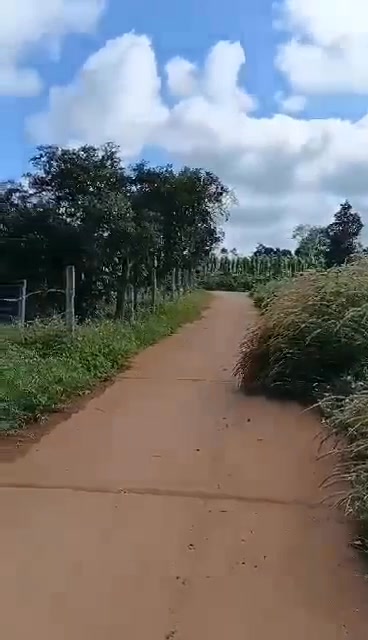 Đất nền thổ cư 1500m² tại thôn Kẻ Đọng, Đắk Mil - Giá chỉ 112.5 triệu VND!