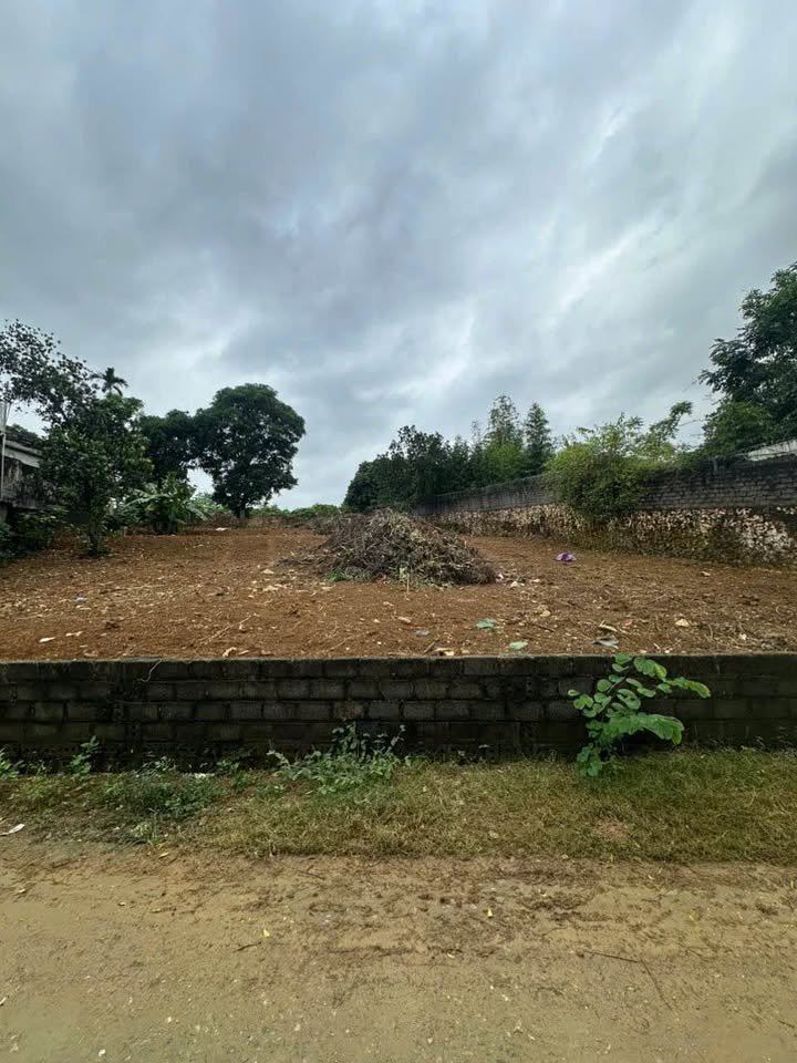 Đất nền Nhuận Trạch 1000m² giá 5 tỷ - Đầu tư sinh lời hấp dẫn!