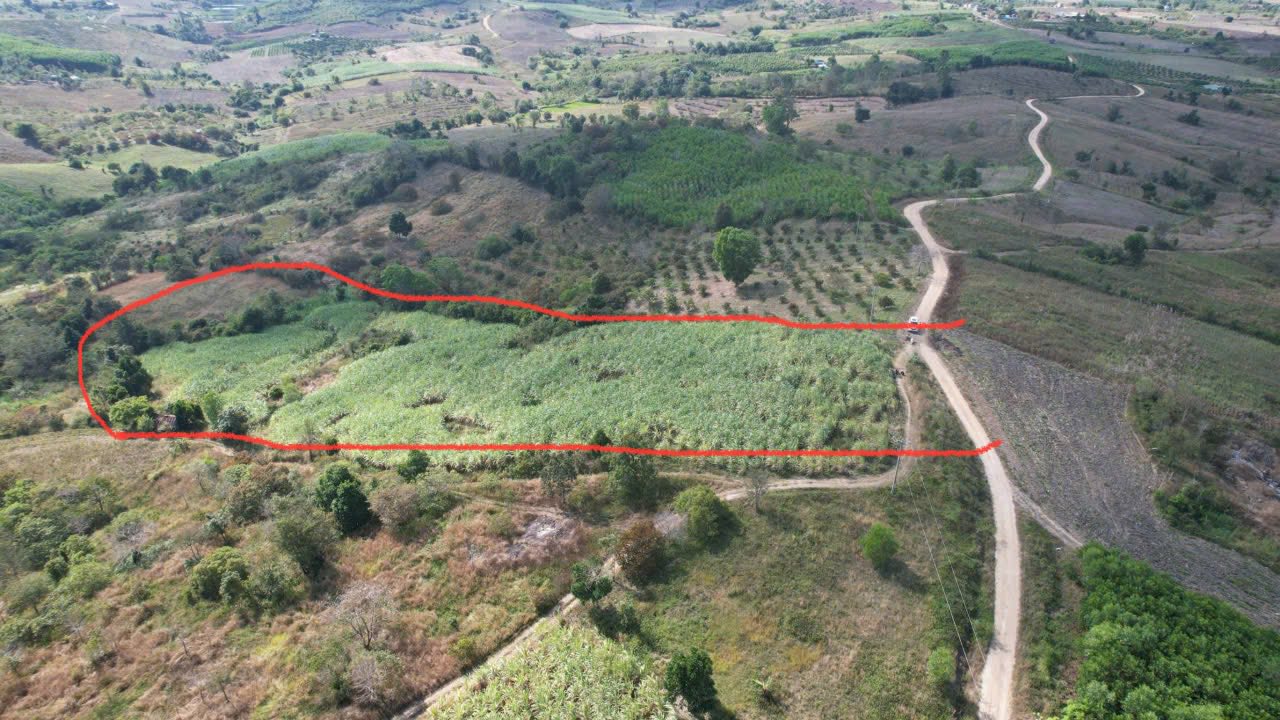 Đất nền Ea Knốp, Đắk Lắk 14,000m² - Phù hợp trồng cây lâu năm!