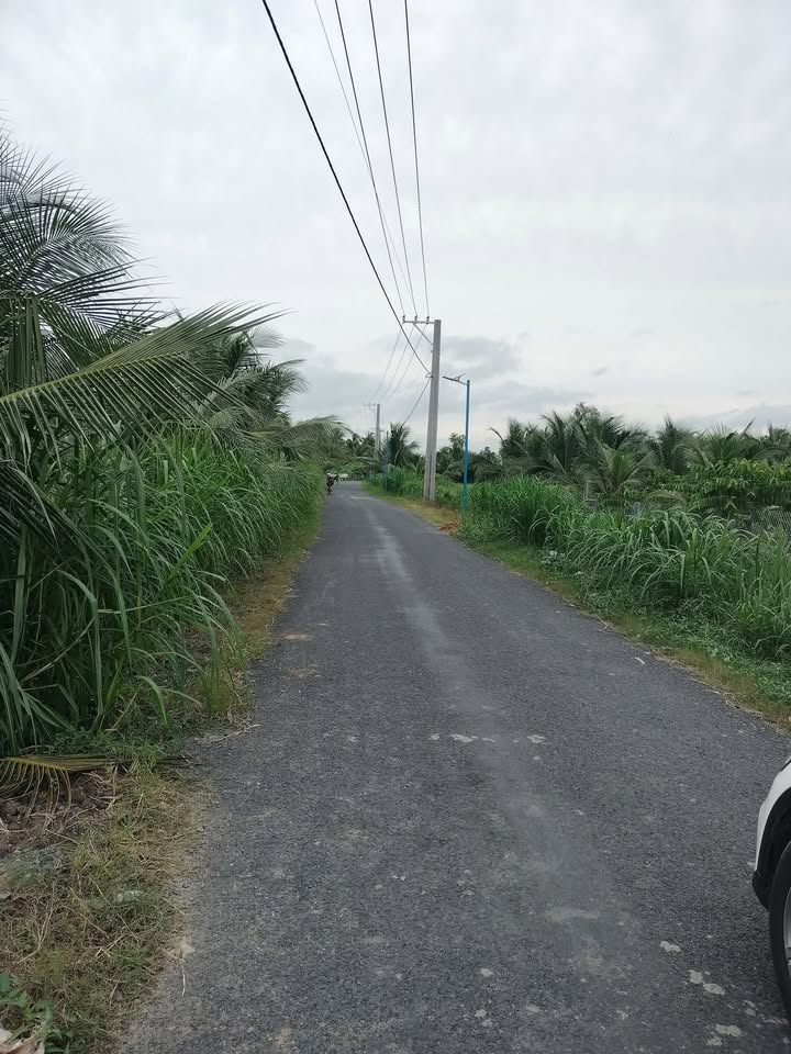 Đất nền Gò Công Tây 127m² giá chỉ 480 triệu - Sổ đỏ chính chủ!