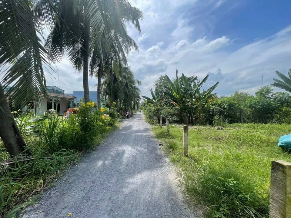 Đất nền chính chủ xã Thành Công, Gò Công Tây 100m² giá 330 triệu - Đầu tư thông minh!