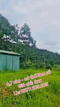 Đất nông nghiệp Quảng Thành 2412m² giá 600 triệu - Đường ô tô đến nơi!