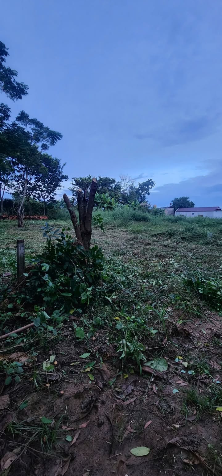 Đất nền 168m² tại Hồ Tràm - Bà Rịa - Vũng Tàu giá chỉ 1.15 tỷ - Đầu tư sinh lời ngay!