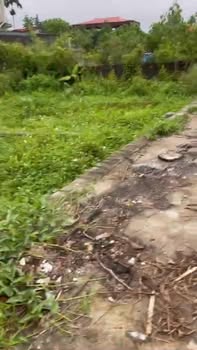 Đất nền Chương Dương, Thường Tín, 52m² giá 1.8 tỷ - Sổ đỏ chính chủ!