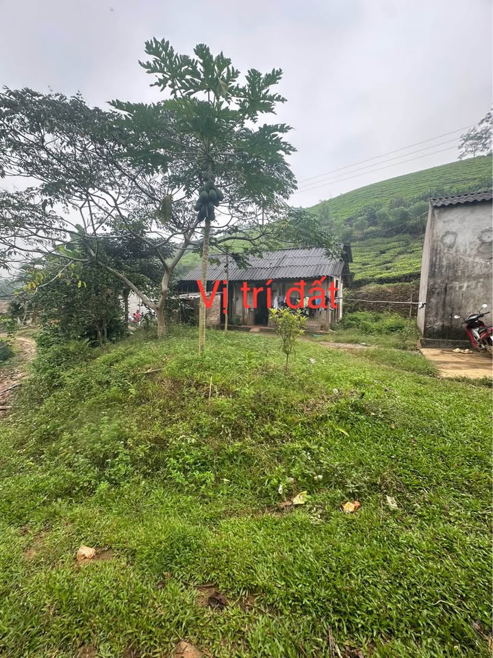 Đất nghỉ dưỡng Long Cốc Tân Sơn 601m² giá 4xx triệu - Cơ hội đầu tư tuyệt vời!