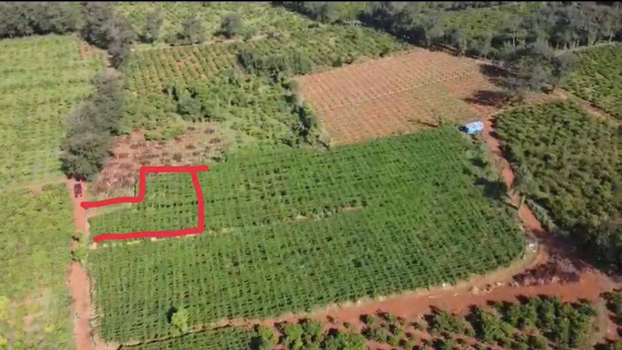 Đất nền Ia Kha, Ia Grai, Gia Lai 900m² giá 189 triệu - Cơ hội đầu tư hấp dẫn!