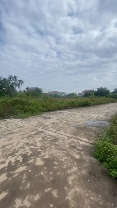 Đất nền thôn Quất, Hợp Đức 130m² giá 1.6 tỷ - Cơ hội đầu tư tuyệt vời!