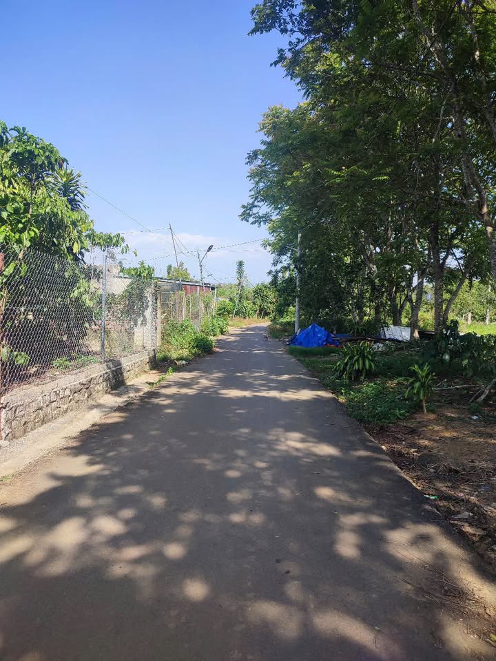 Đất nền Bảo Lộc 61m² giá 1.7 tỷ - Thích hợp để xây dựng ngay!