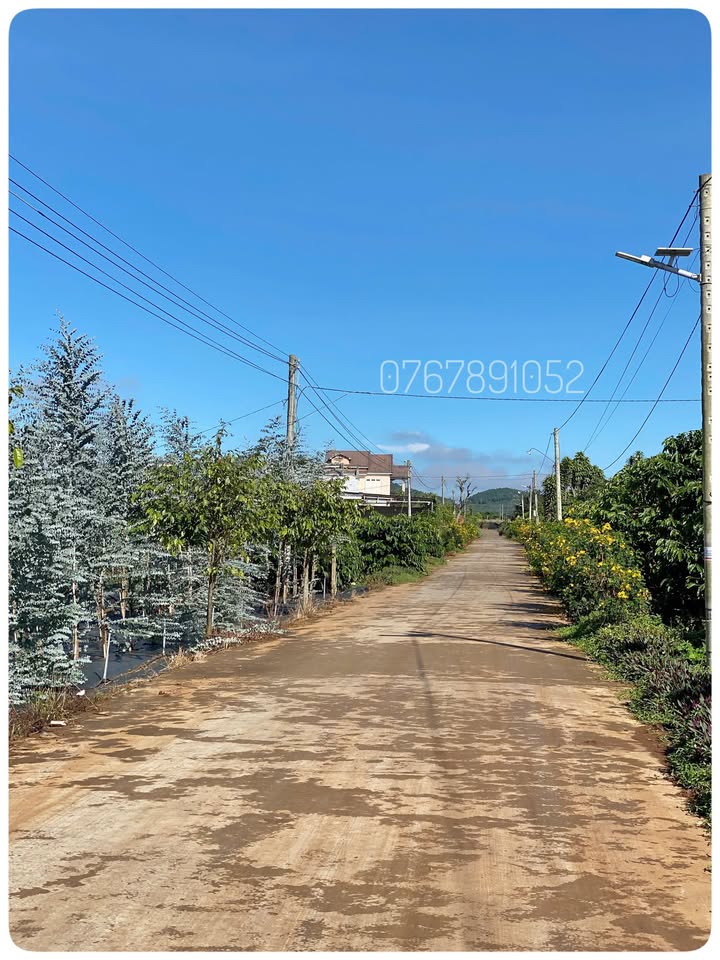 Đất Liên Hiệp - Xã Hiệp Thạnh 125m² giá 1.22 tỷ - Gần sân bay Liên Khương!