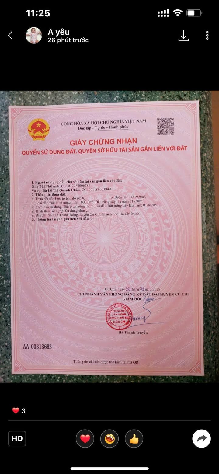 Đất nền Củ Chi 1319m² giá 15 tỷ - Đầu tư sinh lời ngay!