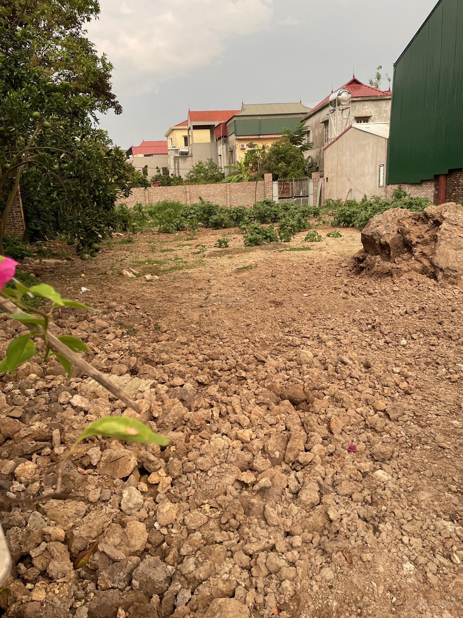 Cho thuê Kho, nhà xưởng, đất tại Đức Việt, 600m² giá chỉ 15 triệu - Chính chủ uy tín!