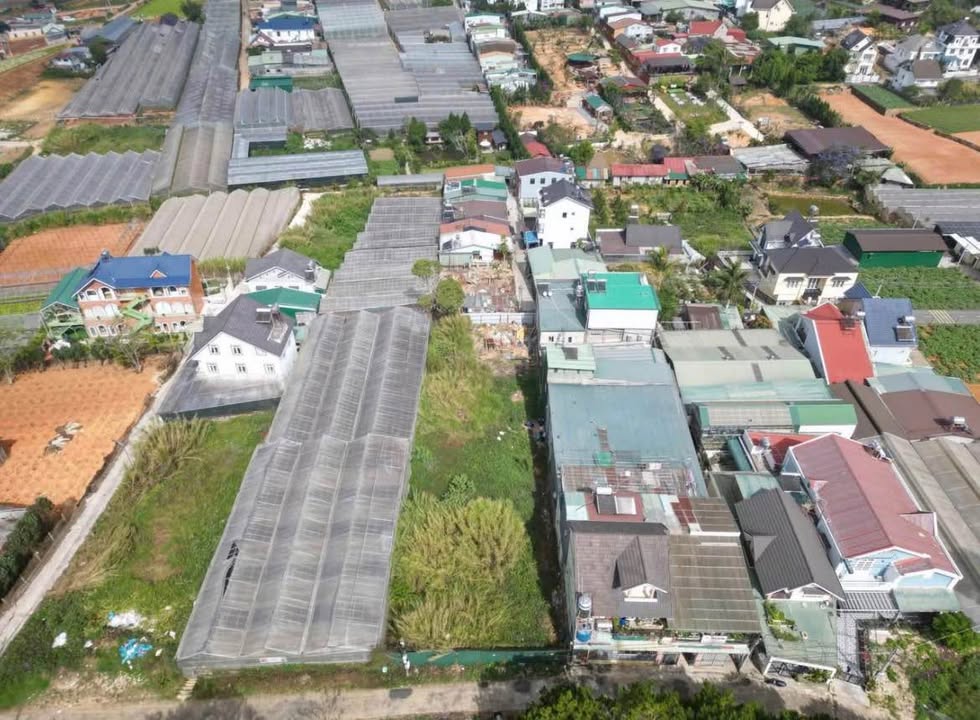 Đất nền 613m² Ngô Tất Tố, Đà Lạt - Giá chỉ 16 tỷ - Đầu tư sinh lời!