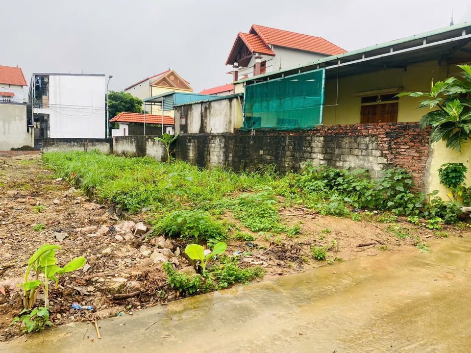 Đất nền Vĩnh Phượng, Bình Xuyên 159m² giá 3 tỷ - Đầu tư sinh lời ngay!