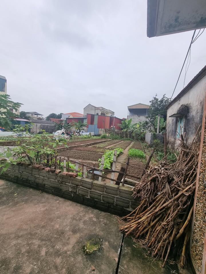 Đất nền Quất Động - Thường Tín 65m² giá chỉ 2.3 tỷ - Vị trí đắc địa gần cụm công nghiệp!