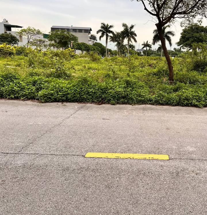 Đất nền Kim Sơn Đông Triều 99m² giá 1.8 tỷ - Mặt tiền 5m, hướng Nam