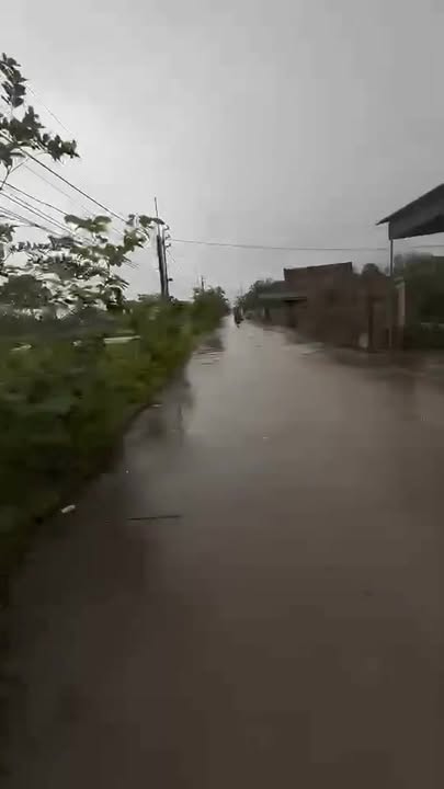 Đất kinh doanh xã Trung Lộc, Nghi Lộc 133m² giá 3 tỷ - Đầu tư sinh lời ngay!