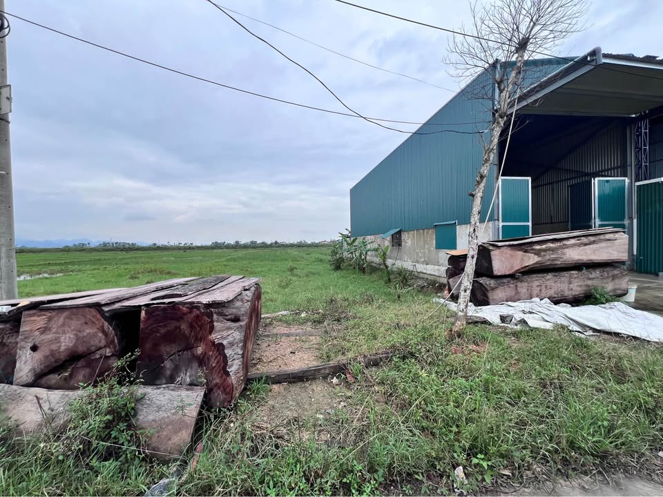 Đất mặt đường Nguyễn Xí kéo dài, Thạch Xuân, 300m² giá 3 tỷ - Đầu tư sinh lời ngay!