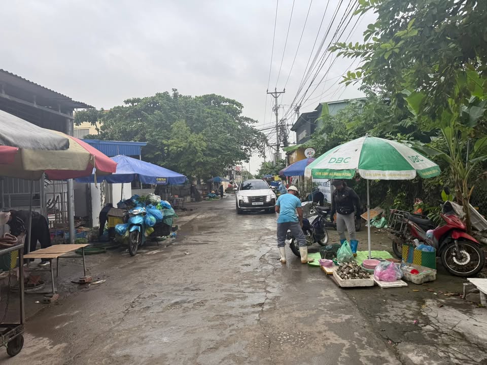 Đất nền phường Lập Lễ Thủy Nguyên 90m² giá thỏa thuận - Đón đầu cơ hội đầu tư!