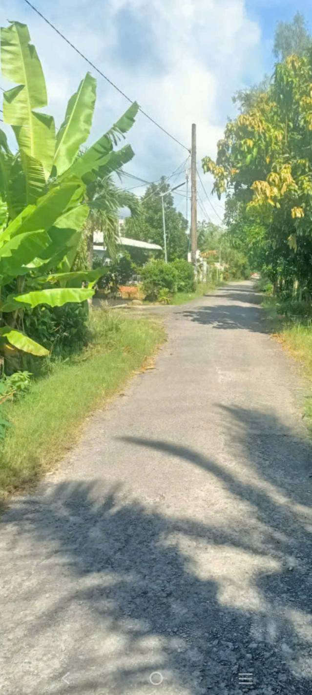 Đất thổ cư Tháp Mười 16.000m² giá 2.35 tỷ - Tiềm năng đầu tư lớn!