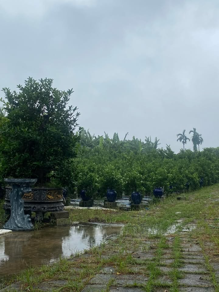 Đất nền Liên Phương Hưng Yên 90m² giá 2.6 tỷ - Mặt tiền 5m, ô tô vào thoải mái!