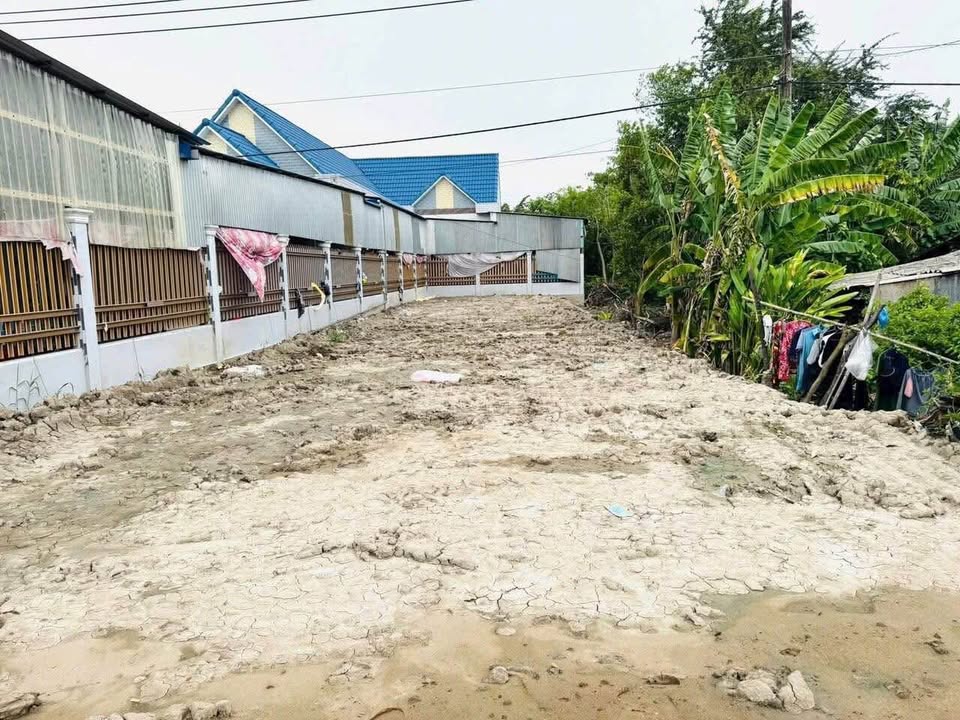 Đất nền xã Tân Lược, Bình Tân, Vĩnh Long 288m² giá 2.09 tỷ - Đầu tư sinh lời ngay!