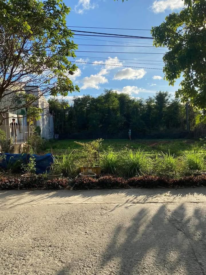 Đất thổ cư chính chủ tại Tâm Thắng, 250m² chỉ 920 triệu - Cơ hội đầu tư hấp dẫn!