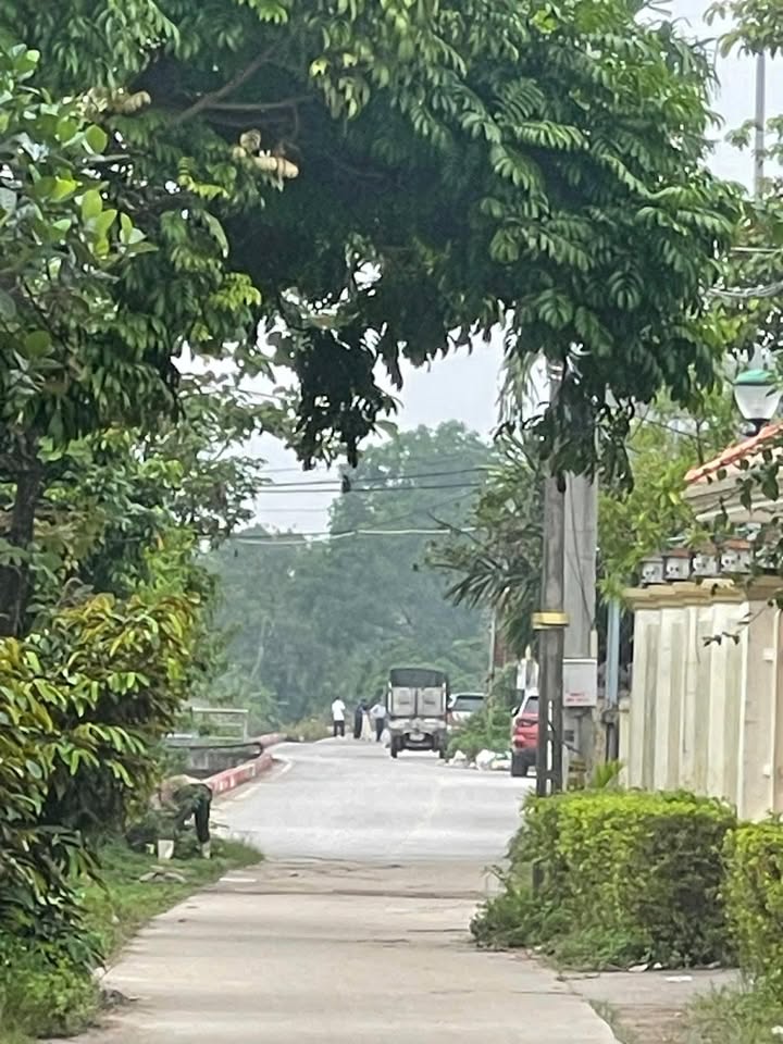 Đất đấu giá Trà Xuyên Bắc Ninh 77m² giá 3.xx tỷ - Vị trí đẹp trục chính!