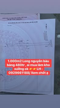 Đất nền Bàu Bàng 1000m² giá chỉ 480 triệu - Đầu tư sinh lời ngay!