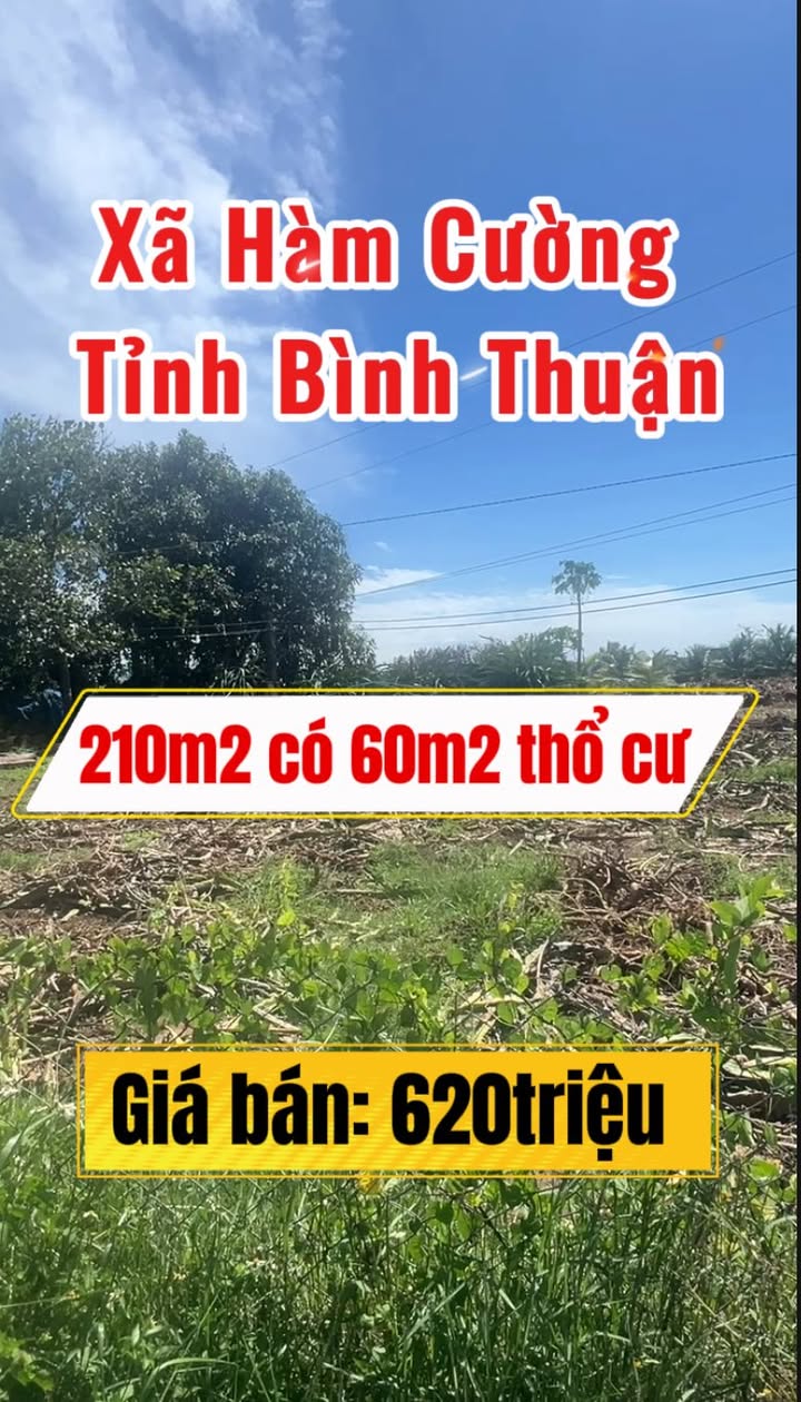 Đất thổ cư xã Hàm Cường 210m² giá 620 triệu - Tiềm năng đầu tư lâu dài!