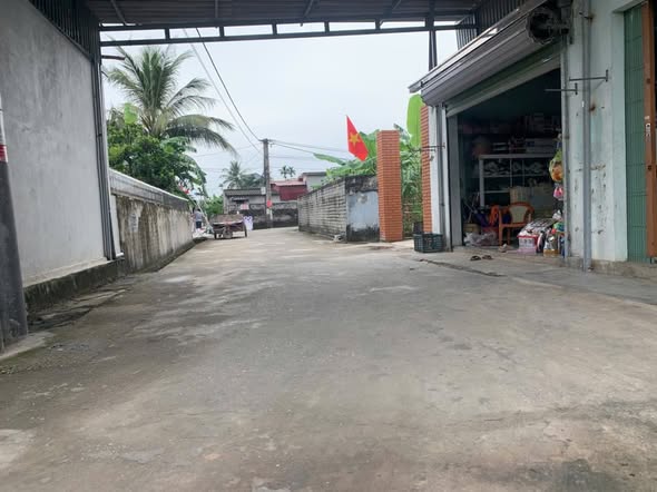 Đất nền Quang Trung, Tứ Kỳ 200m² giá chỉ vài triệu/m² - Cơ hội đầu tư vàng!