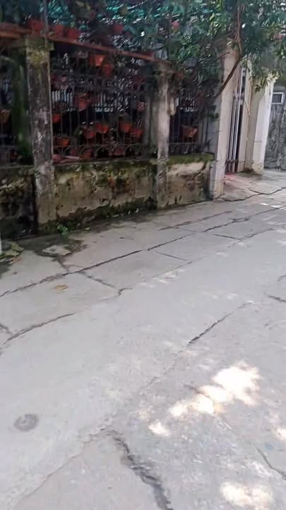 Đất nền Tự Khoát, Thanh Trì 72.5m² giá 5.615 tỷ - Sổ đỏ chính chủ, không ngập!