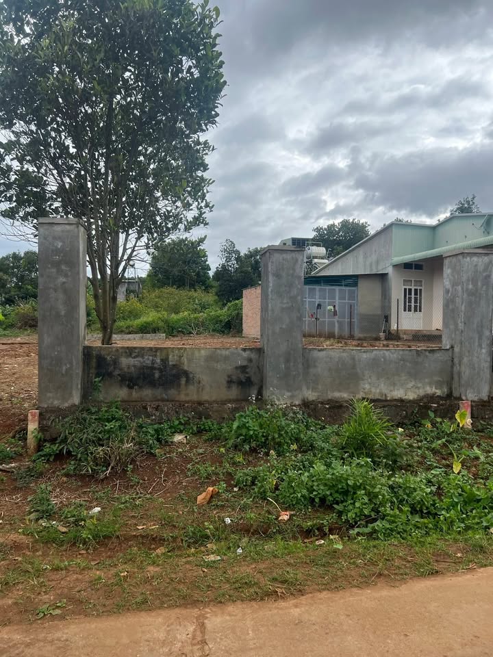 Đất nền chính chủ Tú Xương, Pleiku 125m² chỉ 590 triệu - Cơ hội đầu tư tuyệt vời!