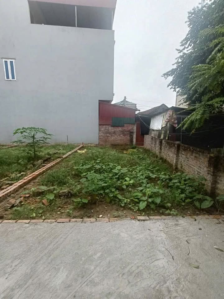 Đất ở đô thị Xuân Lâm 50.5m² giá 1.5 tỷ - Tiềm năng sinh lời cao!