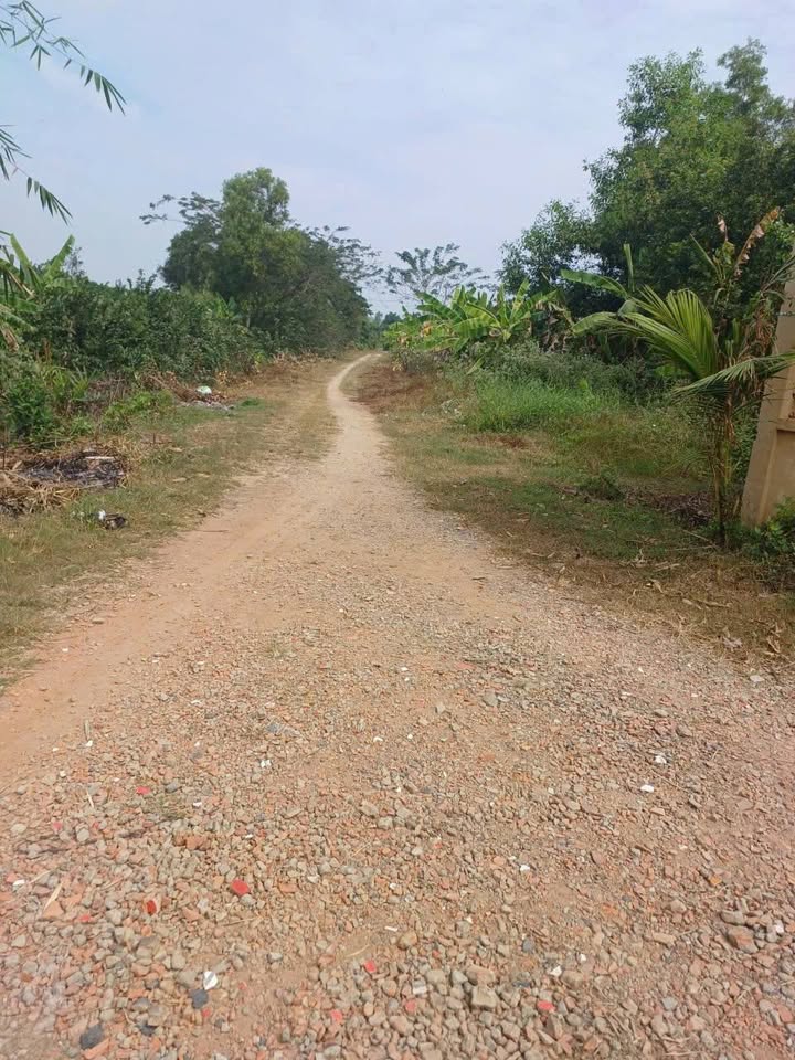 Đất mặt tiền Kênh Đường Vành Đai 2, P3 Sóc Trăng, 1600m² - Đầu tư sinh lời ngay!