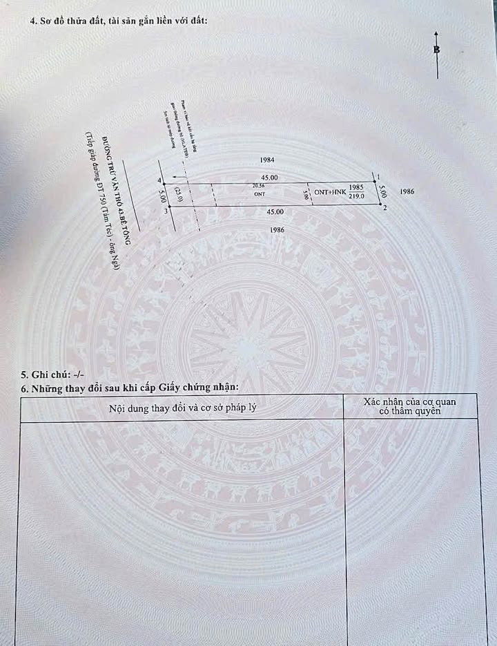 Đất nền Trừ Văn Thố - Bàu Bàng 225m² giá rẻ nhất khu vực - Cơ hội đầu tư hấp dẫn!