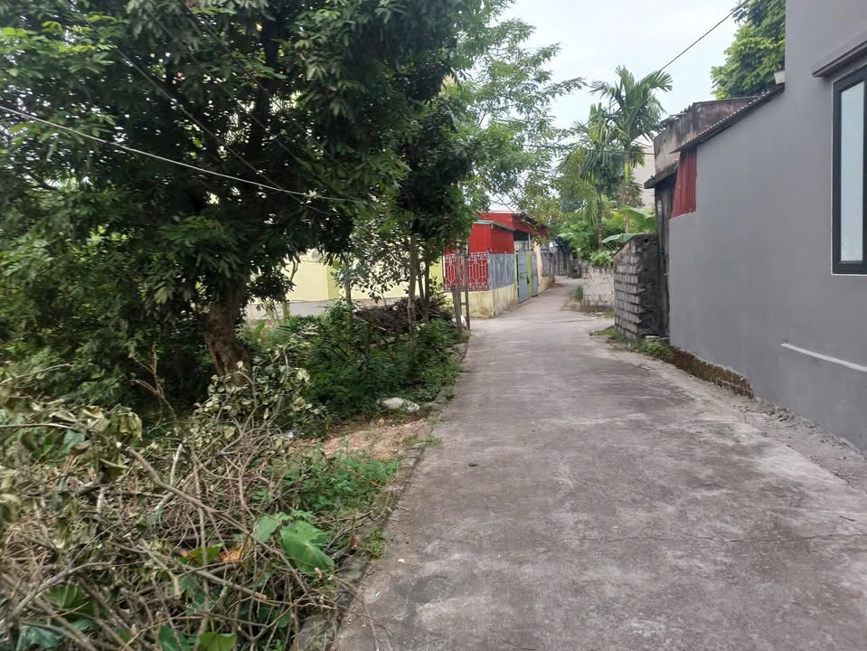 Đất nền Tràng An Bình Lục 125m² giá chỉ 1 tỷ - Cơ hội đầu tư hấp dẫn!