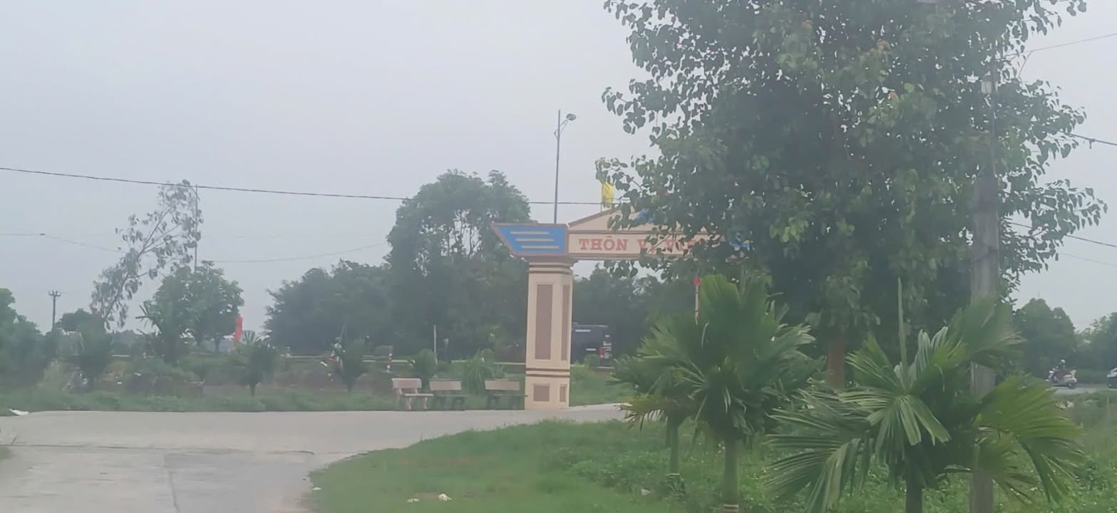 Đất nền 198m² mặt ngõ ô tô tại Mỹ Tiến, Mỹ Lộc, Nam Định - Giá thỏa thuận