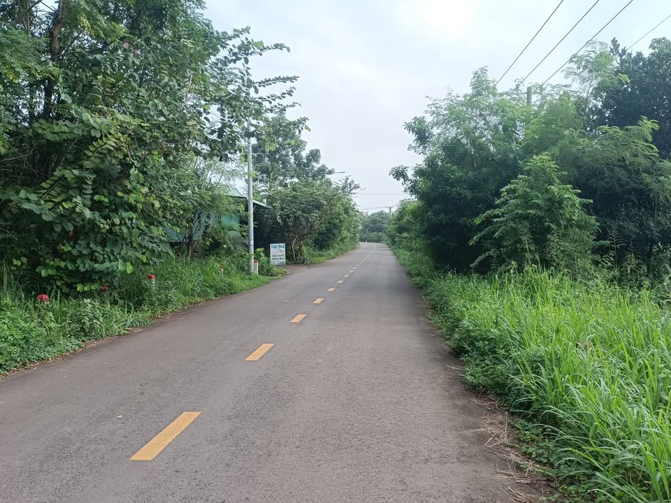 Đất nền 2000m² tại Ấp 7, Xã Xuân Tây, Cẩm Mỹ - Giá chỉ 1,8 tỷ VND