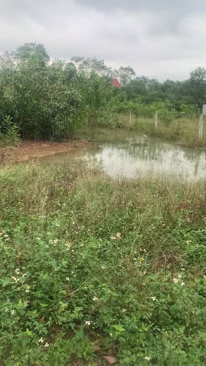 Đất mặt đường mòn HCM Hương Khê 574m² giá 14.764 tỷ - Cơ hội đầu tư tuyệt vời!