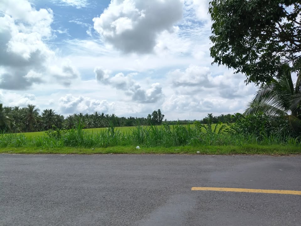 Đất mặt tiền đường nhựa xã Mỹ Hòa, Ba Tri, Bến Tre 1100m² giá 950 triệu - Cơ hội đầu tư hấp dẫn!